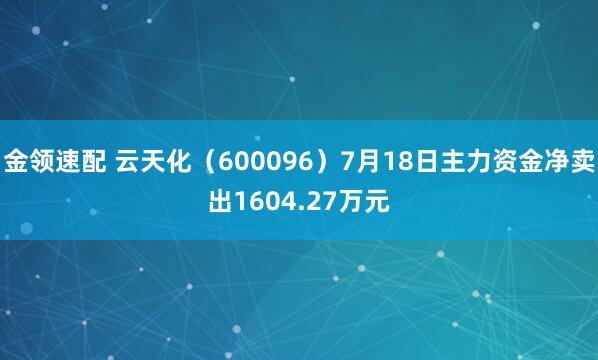 金领速配 云天化（600096）7月18日主力资金净卖出1604.27万元