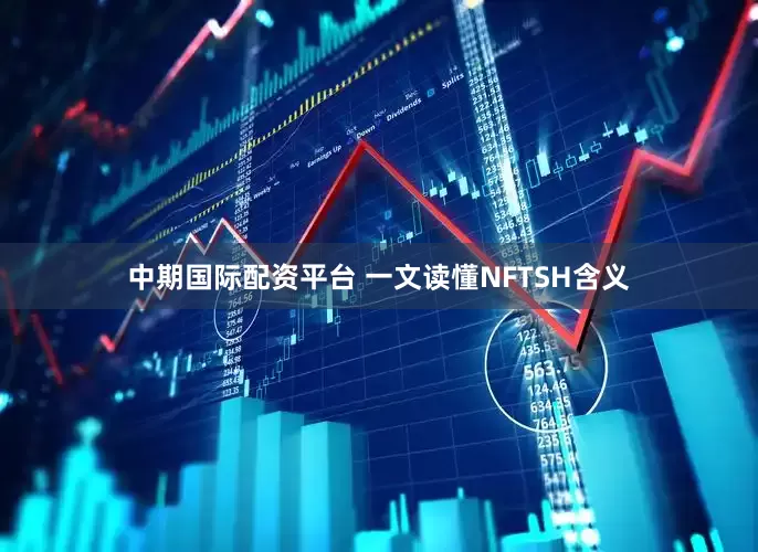 中期国际配资平台 一文读懂NFTSH含义