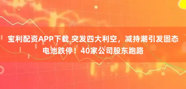 宝利配资APP下载 突发四大利空，减持潮引发固态电池跌停！40家公司股东跑路